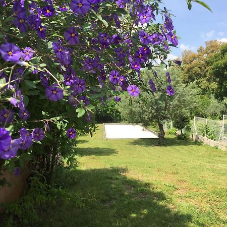 Apartmán Oustaou Di Ercole Bormes-les-Mimosas Exteriér fotografie