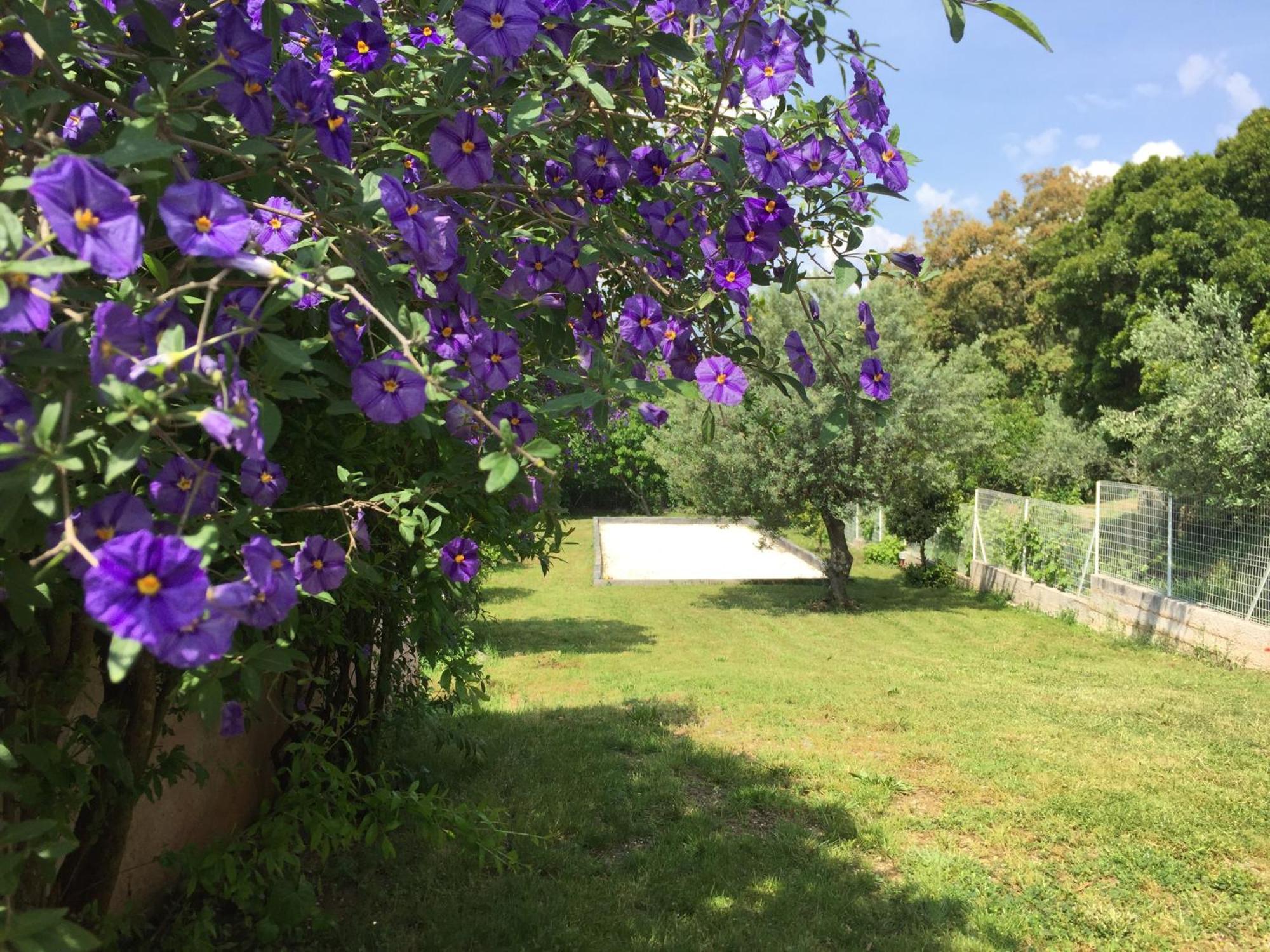 Apartmán Oustaou Di Ercole Bormes-les-Mimosas Exteriér fotografie